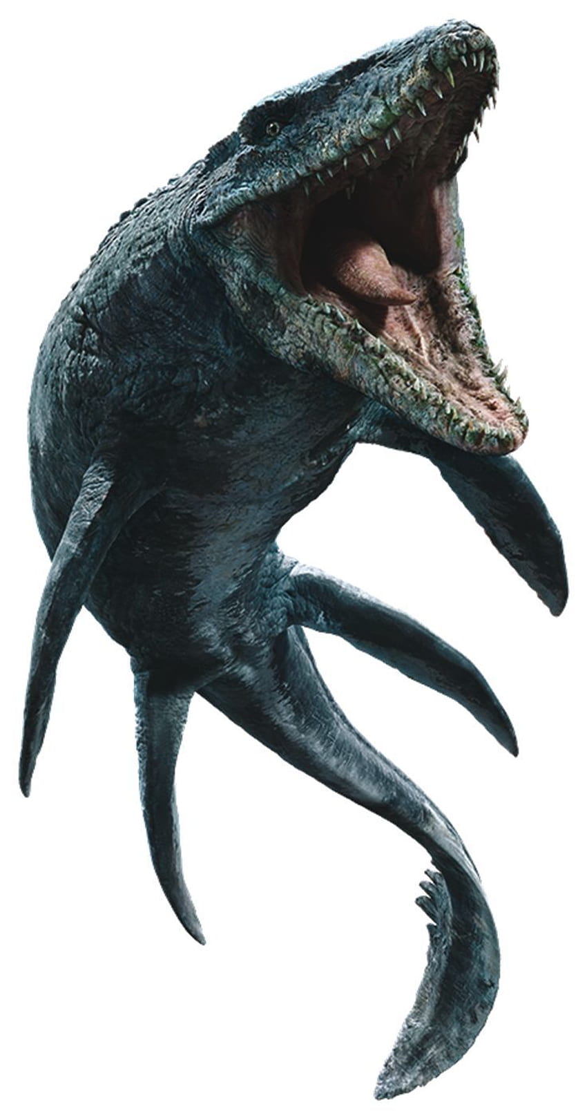 Mosasaurus. Wiki Parque Jurássico. Dinosaurios aquáticos, Ilustração de dinossauros, Crânios de animais Papel de parede de celular HD