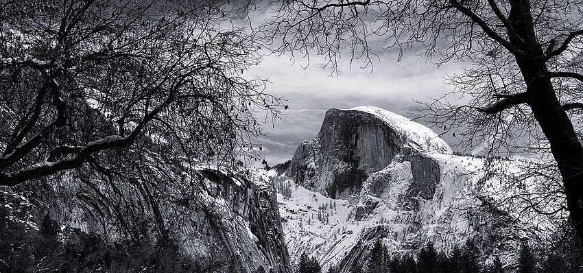 A New Tome Features Yosemiteute Eye of Ansel Adams - Golden State HD wallpaper