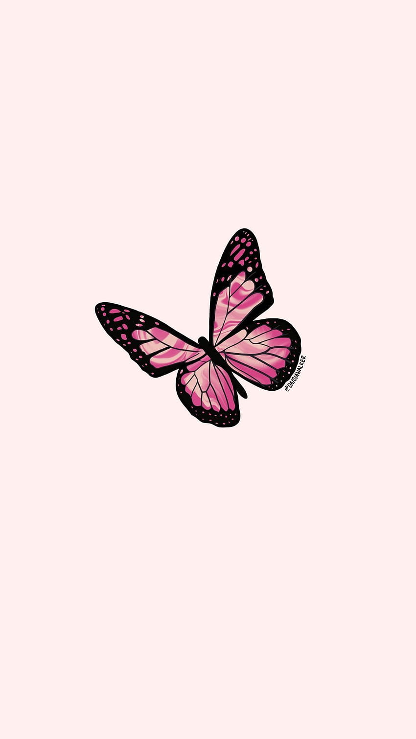 Pink Butterfly. Pink background, iPhone tumblr aesthetic, Butterfly, Orange Butterfly HD phone wallpaper