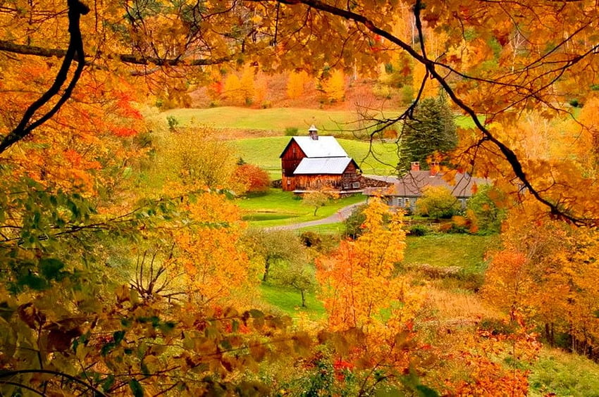 Mountains: Autumn View Golden Nice Nature Fall Cabin Yellow, Mountain Fall Foliage HD wallpaper