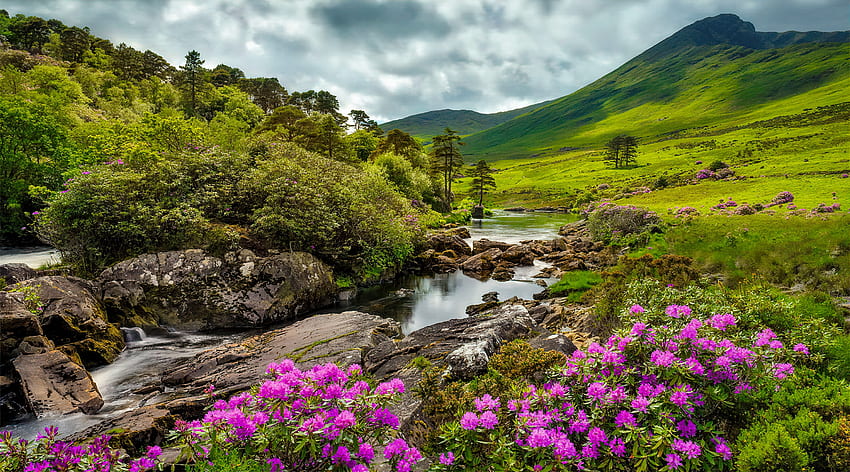 планински поток, поток, склон, трева, пролет, поток, река, красиви, камъни, лято, диви цветя, поток HD тапет