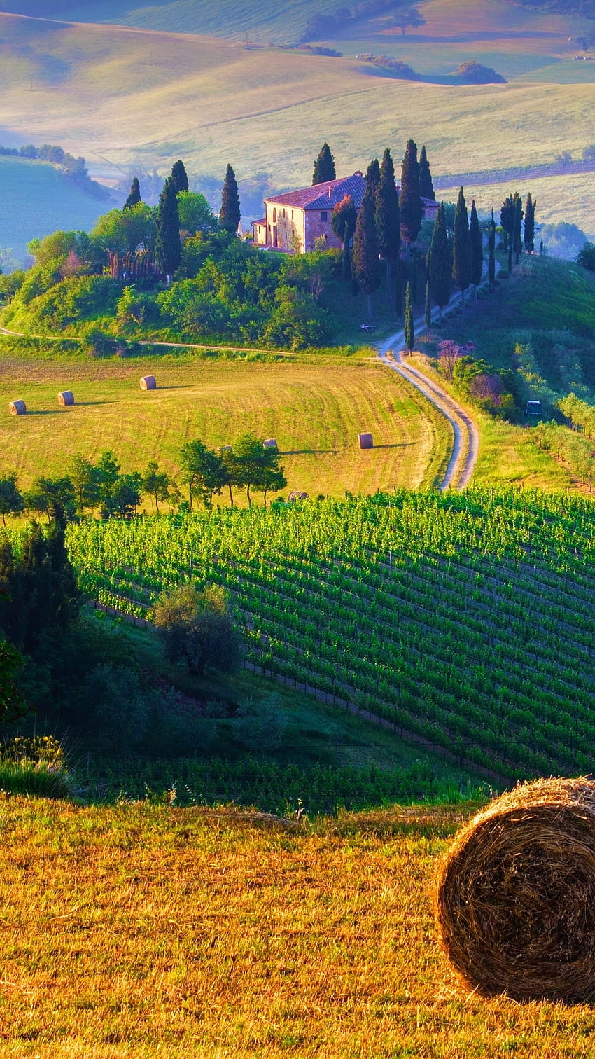 Tuscany Italy Landscape IPhone IPhone HD phone wallpaper