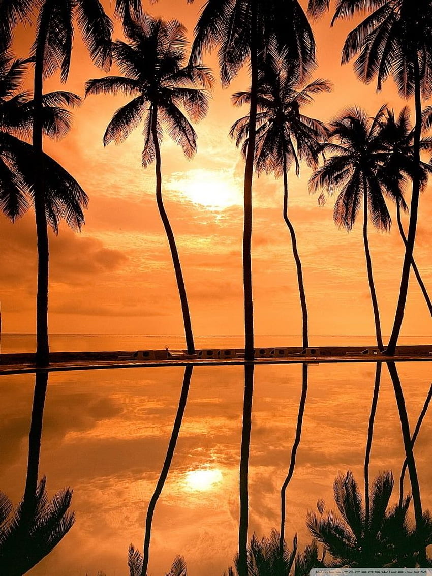 Hawaiian Beach Sunset Reflection ❤ for, Hawiian iPhone HD phone wallpaper