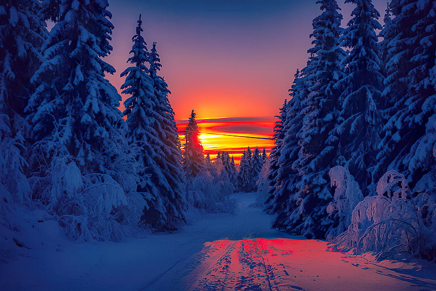 Puesta de sol de invierno, nieve, árboles, frío, cielo, bosque, ardiente, puesta de sol, montaña, hermosa fondo de pantalla