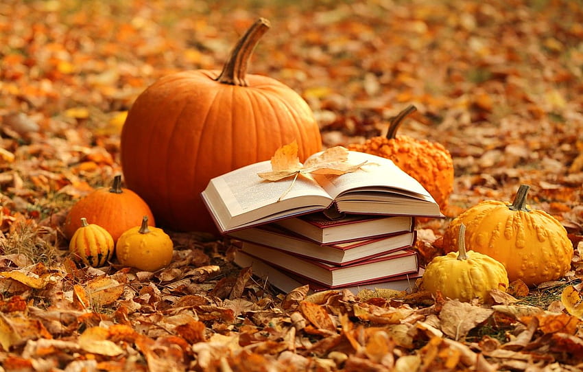 musim gugur, daun, buku, panen, labu, kuning, musim gugur, daun, labu, buku, panen untuk , bagian пейзажи, Panen November Wallpaper HD