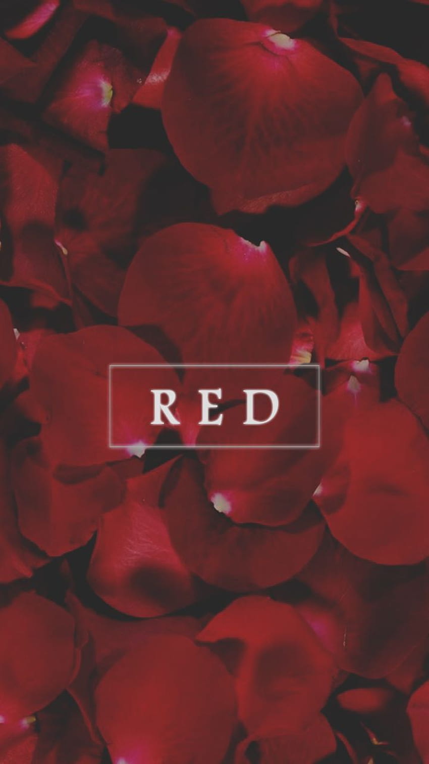Fondos rojos HD wallpapers | Pxfuel