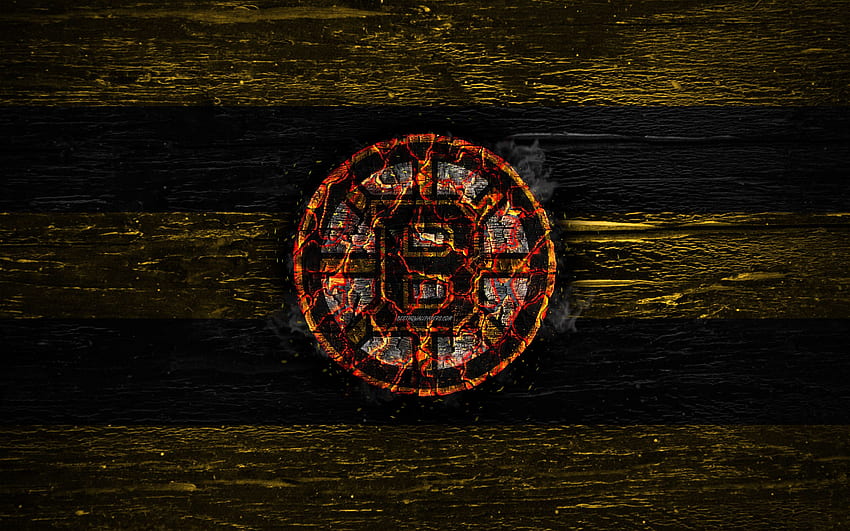 Boston Bruins, fire logo, NHL, yellow and black lines, american hockey team, grunge, hockey, logo, Boston Bruins , Eastern Conference, wooden texture, USA for with resolution . High Quality HD wallpaper