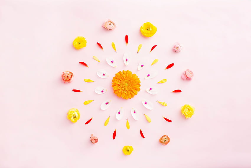 Brand New and Smartphone for Spring, Flower Mandala HD wallpaper | Pxfuel