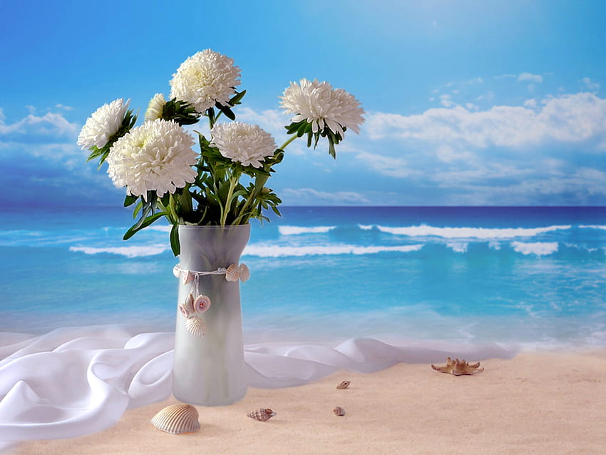Still Life, sunny, shells, sand, graphy, colors, peaceful, beauty, beach, waves, ocean, sea, white, blue sea, vase, romance, beautiful, shell, pretty, view, clouds, nature, sky, romantic, flowers, lovely, splendor, white flowers HD wallpaper