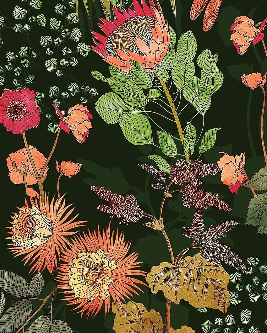 Wild Botanics Details, Tropical Plants Drawing HD phone wallpaper