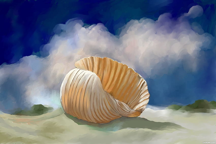 Seashell Art, Beach, Seashell, Sand, Art HD wallpaper