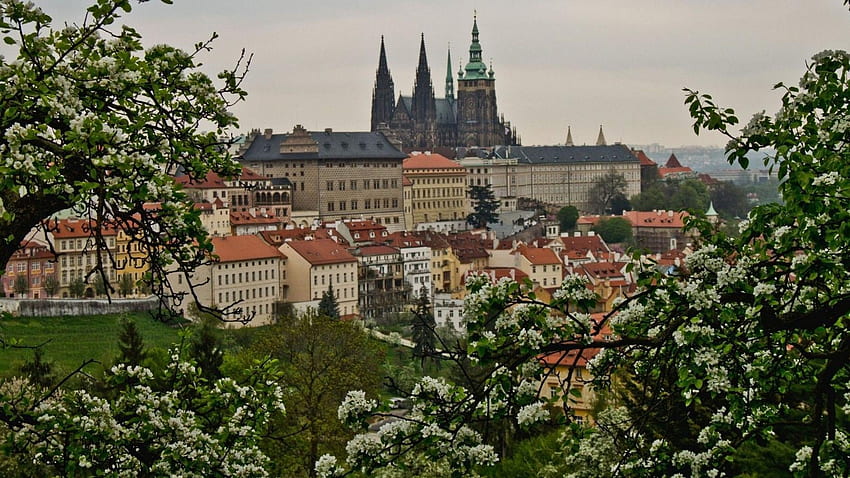 Edificios Praga República Checa Ciudades, Castillo de Praga fondo de pantalla