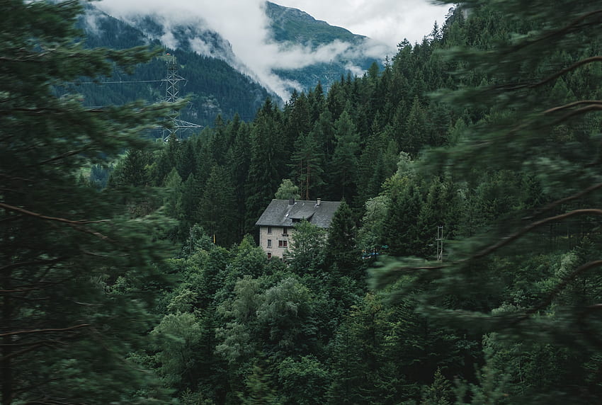 naturaleza, árboles, montañas, bosque, casa fondo de pantalla