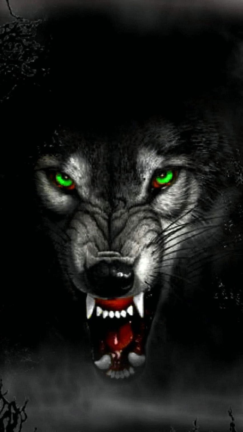 Anime Angry Wolf Drawings  Anime Angry Wolf  Free Transparent PNG  Download  PNGkey