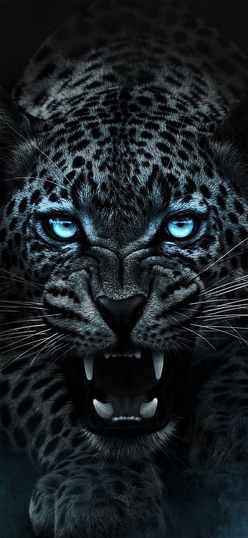 Jaguar leopard HD wallpapers | Pxfuel