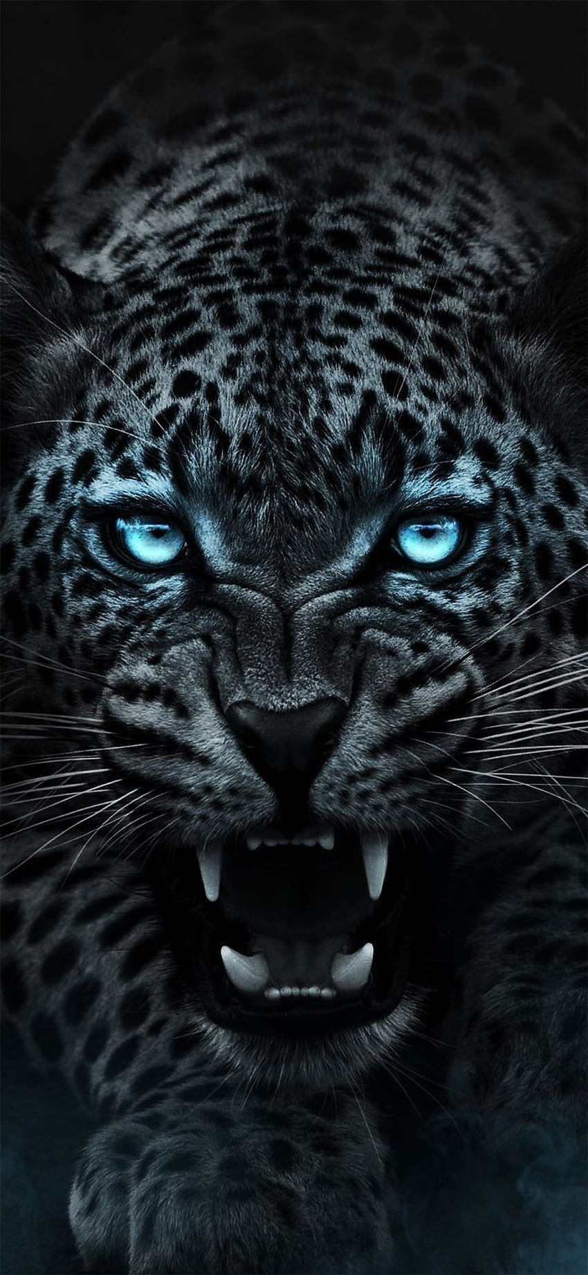 ¡El asombroso Leopardo!. Animal salvaje, animal jaguar, tigre, jaguar enojado fondo de pantalla del teléfono