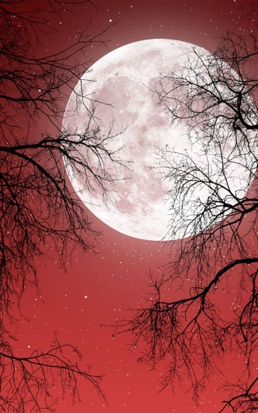 Red Full Moon , Red Moon Night Sky HD phone wallpaper