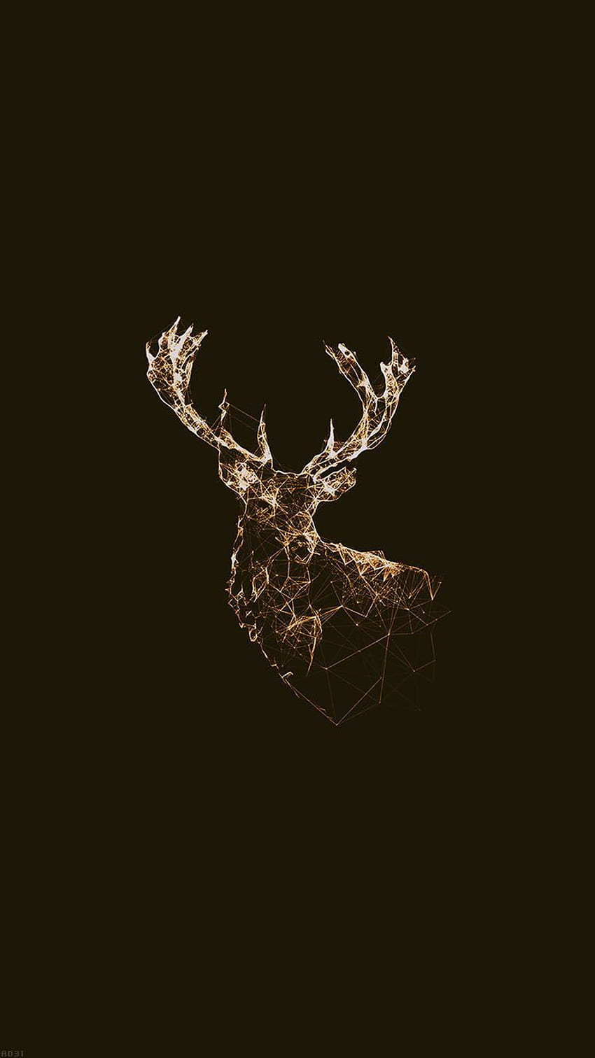 Red Deer Skull, Deer Antler HD phone wallpaper