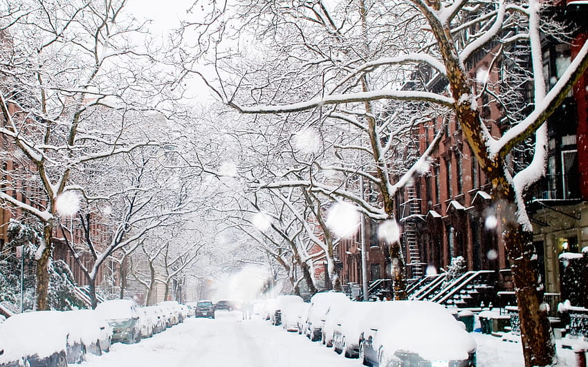 Winter On New York Streets for , New York City, NYC Winter HD wallpaper ...