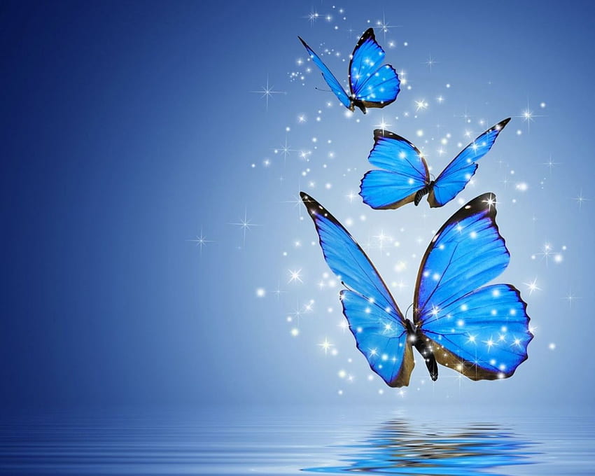 Pics Butterflies [] for your , Mobile & Tablet. Explore Butterfly . Butterfly , Butterfly Background, Butterfly, Butterflies Aesthetic HD wallpaper