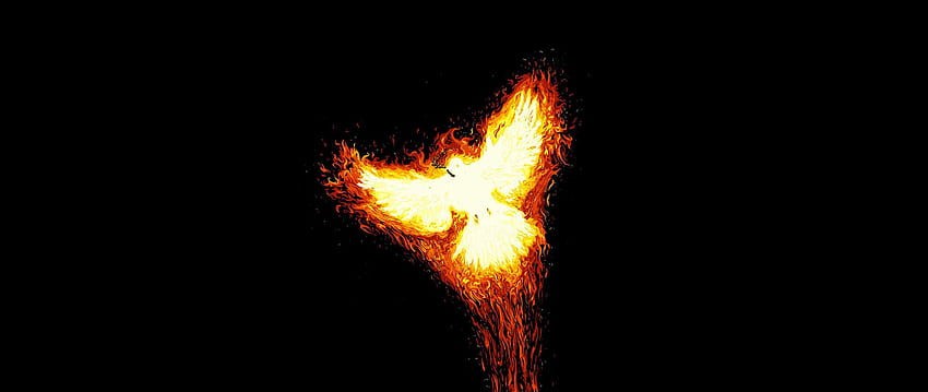 rise, myth, fire, bird, phoenix HD wallpaper