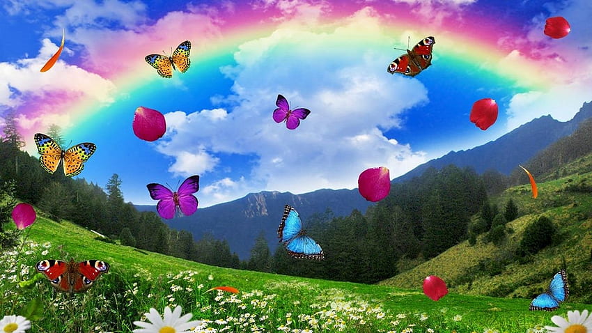 Прекрасен пролетен ден, природа, пеперуда, дъга, поле HD тапет