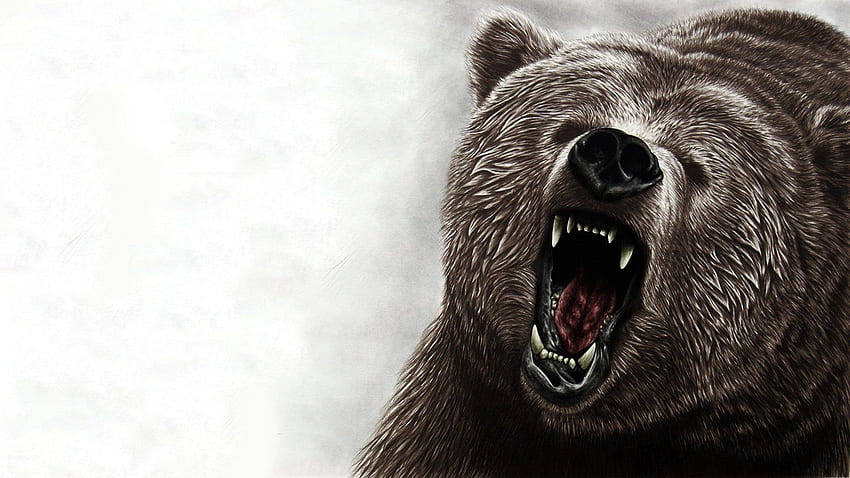 Awesome Grizzly Bear HD wallpaper
