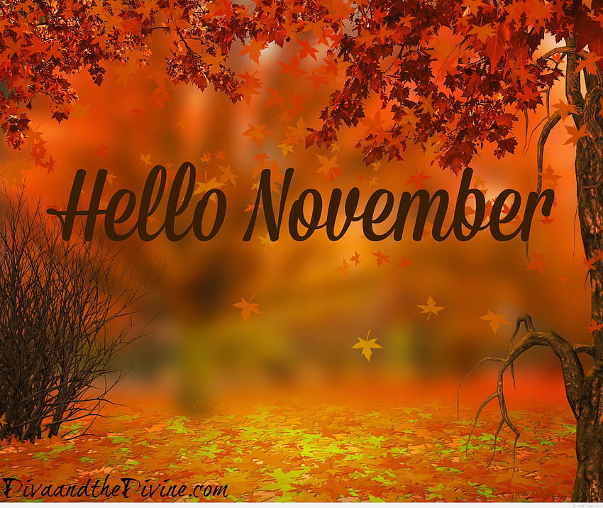 Hello November quotes, and HD wallpaper
