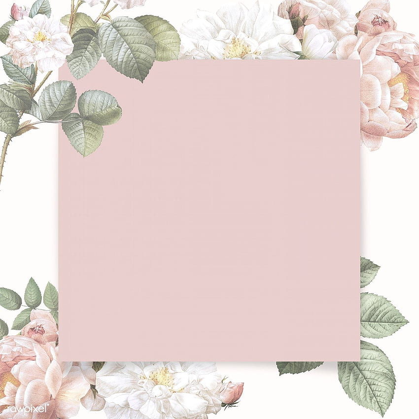 Elegant Frame Background, Elegant Floral HD phone wallpaper