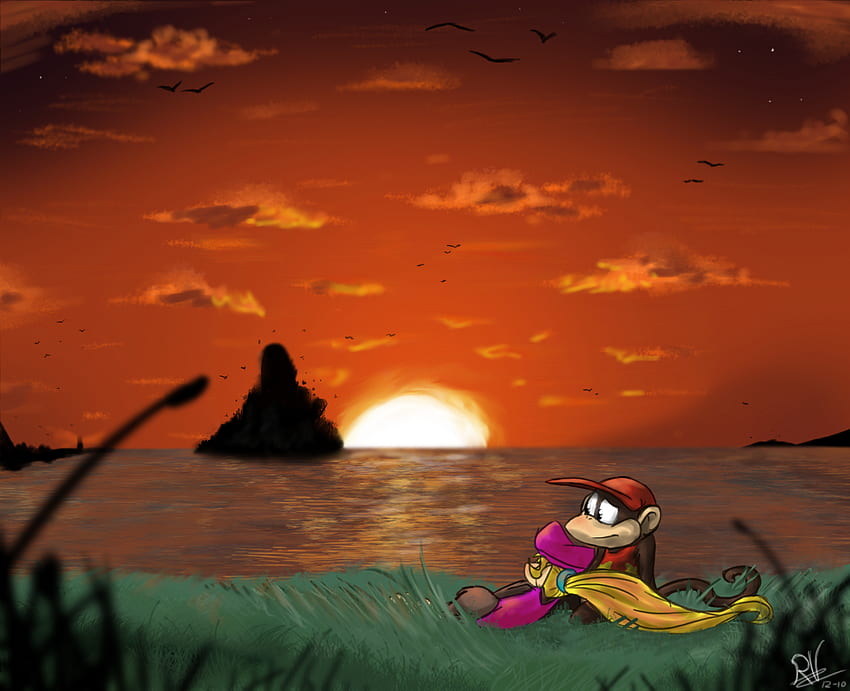 Diddy Kong Background. Donkey Diddy Kong , Diddy Kong and Diddy Kong Racing, Donkey Kong Country 2 HD wallpaper