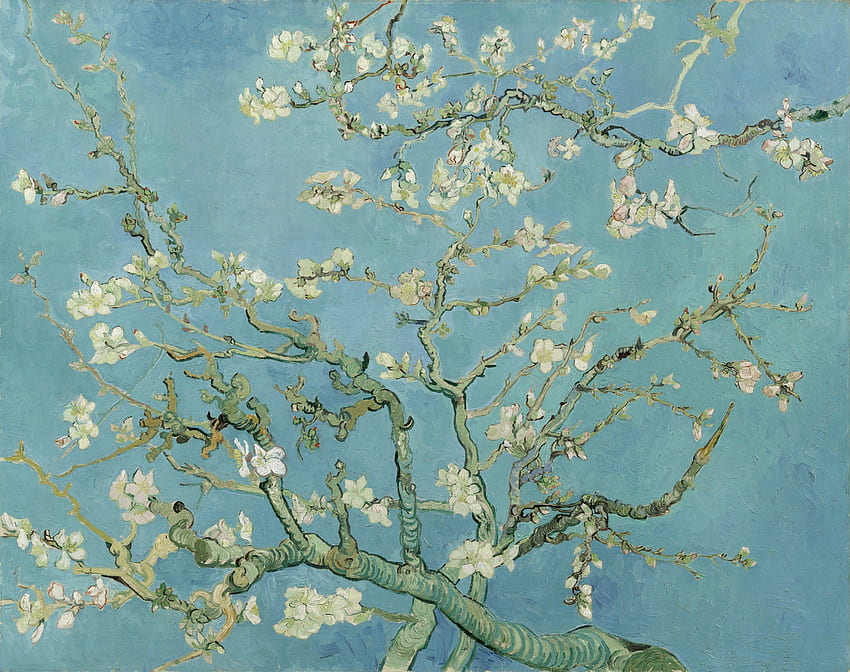 Almond Blossoms, Almond Branches Van Gogh HD wallpaper