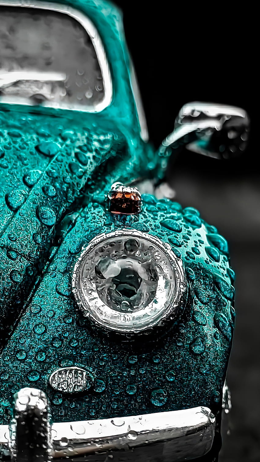 Green Beetle, rain, car, waterlets, water drops HD phone wallpaper