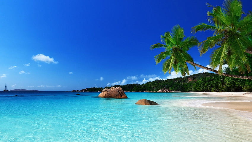 Красив летен фон, красив летен плаж HD тапет