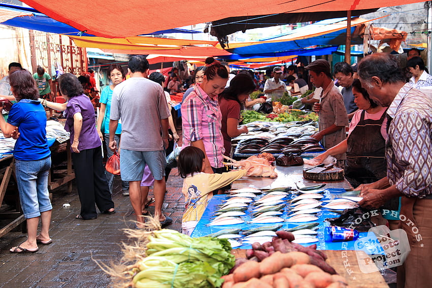Marché aux poissons, Stock , , : Vendeurs locaux de poisson en Indonésie, stock de fruits de mer de la royauté Fond d'écran HD