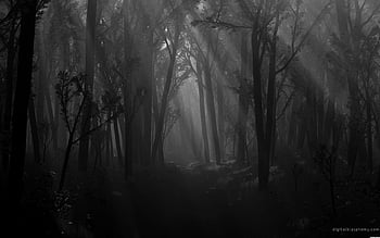 Fantasy dark deep forest Drawing by Maxim Boldyrev  Pixels