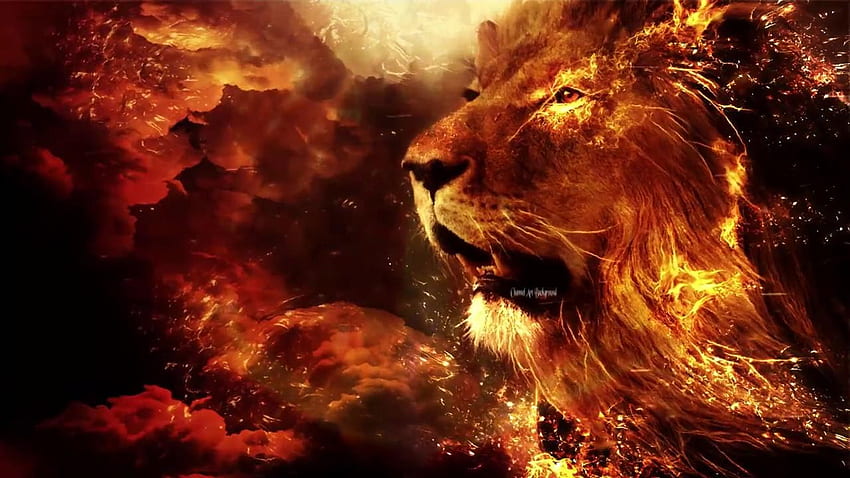 Löwe auf Feuer, Feuereffekt HD-Hintergrundbild