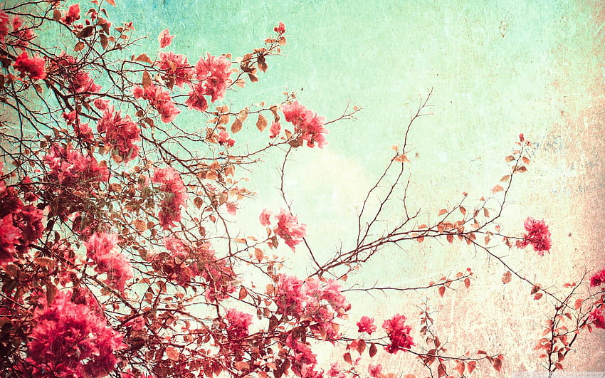 Vintage, Antique Flower HD wallpaper
