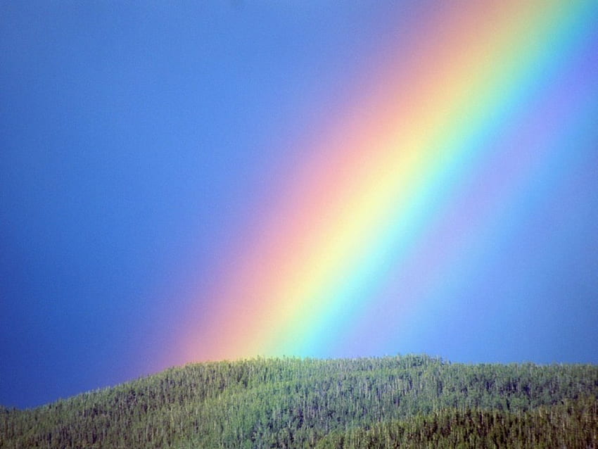 Rainbow Over the North Shore Coastline Oahu Hawaii, north shore, hawaii, rainbow HD wallpaper