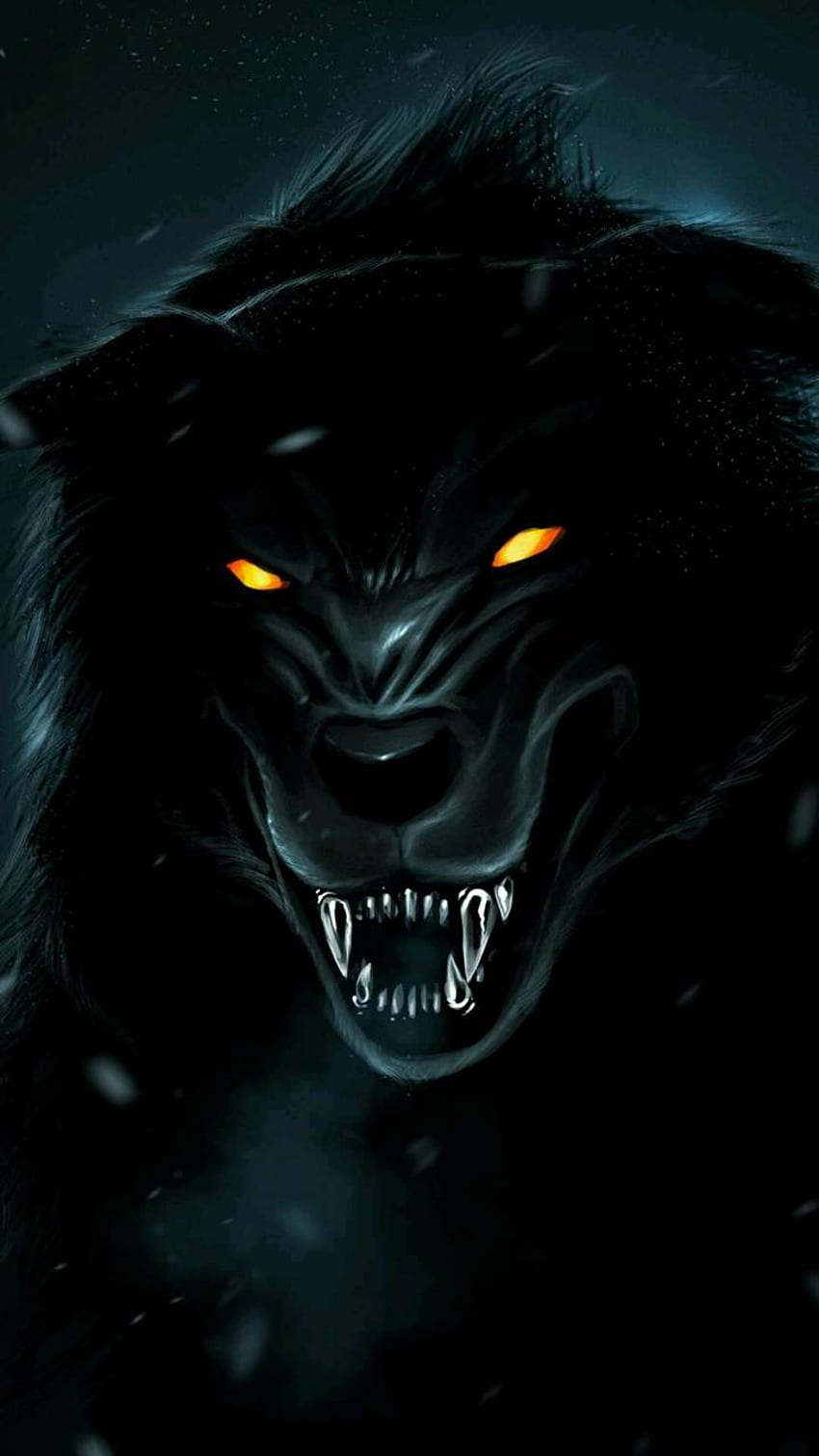 Schwarzer Wolf, schwarzer gefährlicher HD-Handy-Hintergrundbild