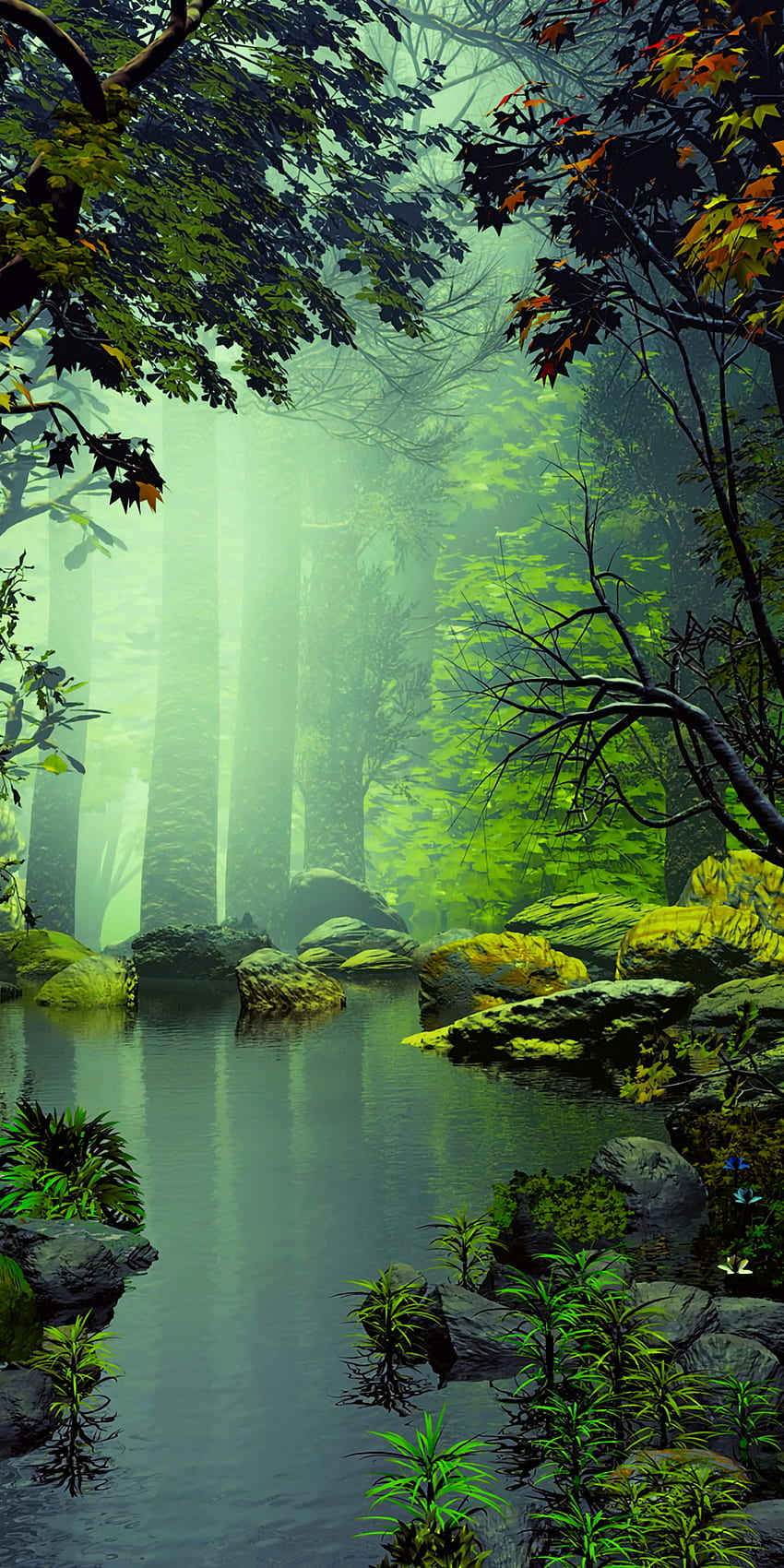 아름다운 전화, 아름다운 숲 HD 전화 배경 화면