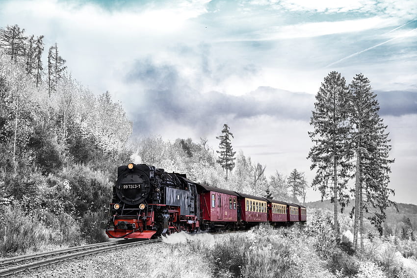 Winter, Snow, , , Forest, Railway, Train HD wallpaper