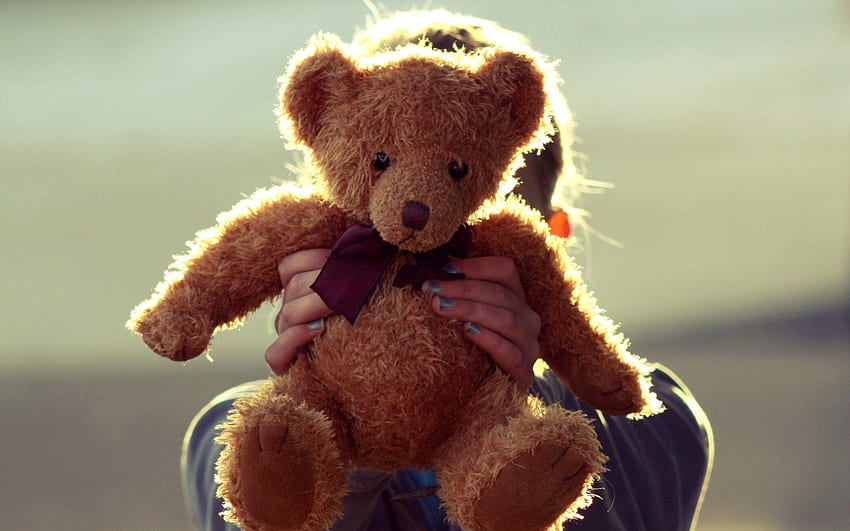 Teddy Bear, , , Toy, Hands HD wallpaper