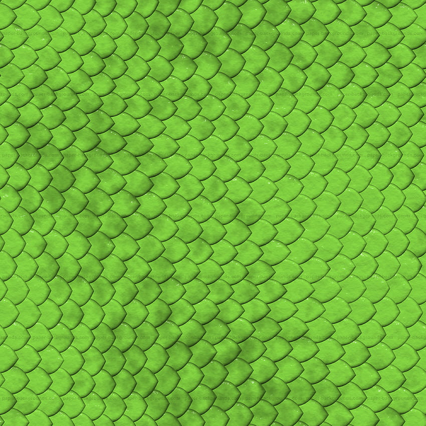 Reptile Textured , Snake Texture HD phone wallpaper
