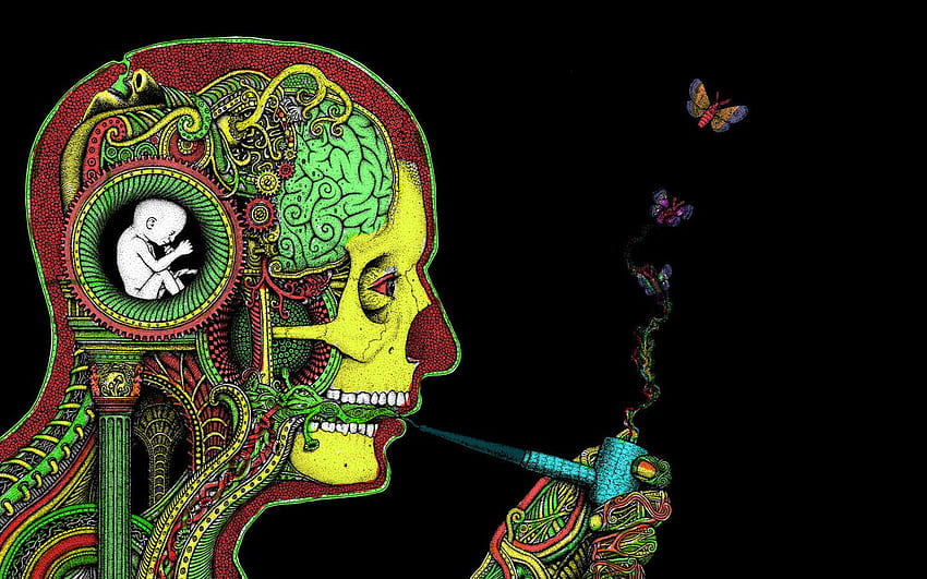 Arte oscuro cráneo psicodélico mariposa estado de ánimo marihuana anatomía fondo de pantalla