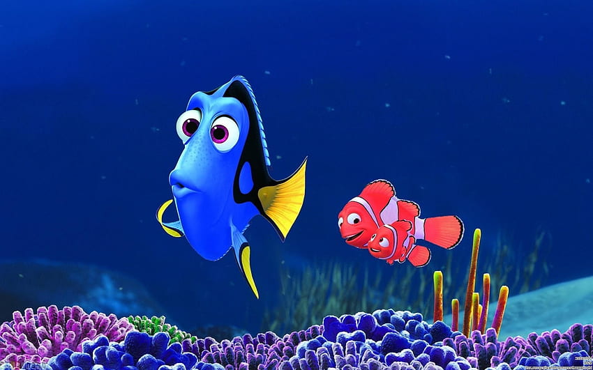 Nemo Arka Planını Bulmak, Dory'yi Bulmak HD duvar kağıdı