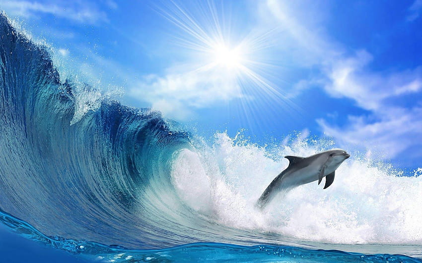 Dolphins . Dolphins , Dolphins Underwater and Dolphins Sea HD wallpaper