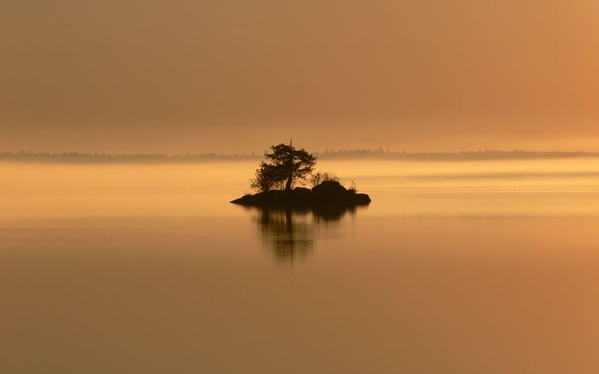 Natur, Holz, Baum, Abend, Insel, Einsamkeit, Sträucher, Inselchen HD-Hintergrundbild