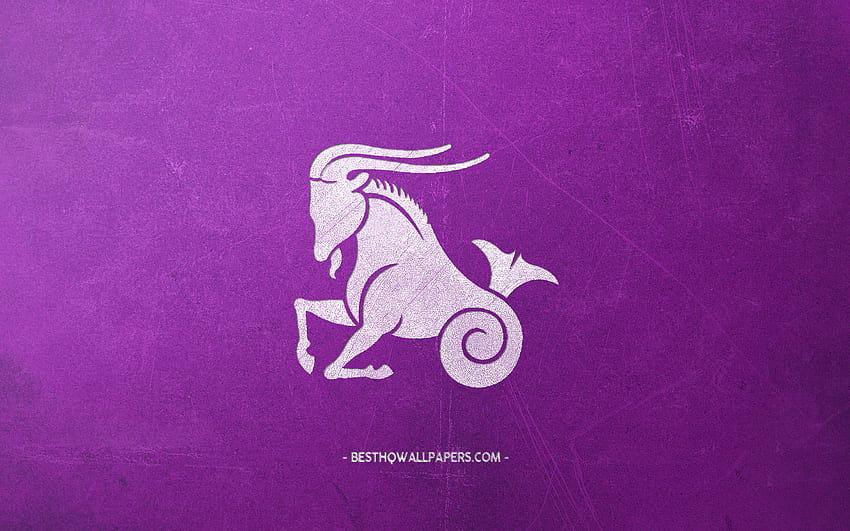 Capricorn Zodiac Sign, Purple Retro Background, Capricorn - Capricorn - HD wallpaper