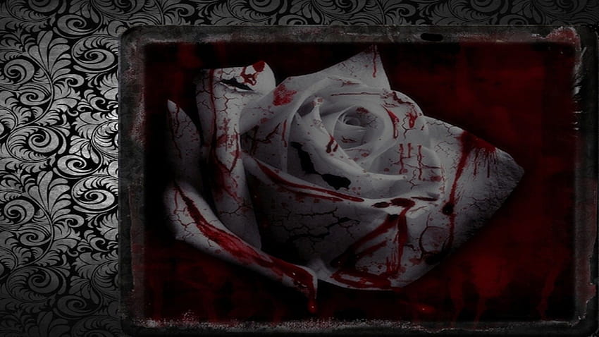 Bloody Rose, Bloody Roses HD wallpaper | Pxfuel