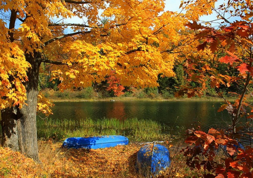 Boats by Autumn Lake, trees, lakes, nature, boats HD wallpaper